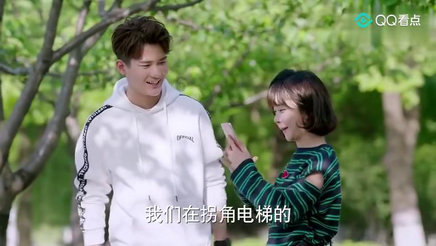 辐射避难所